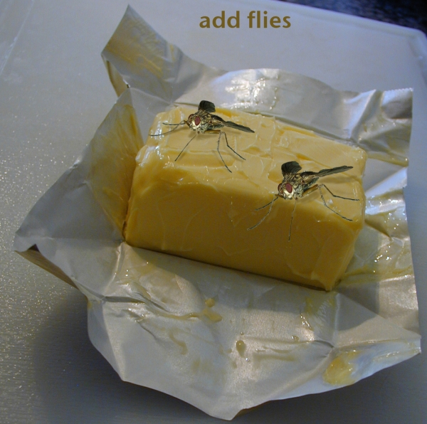 Creation of Butter-flies: Step 3